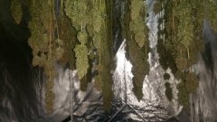 20180625_111001.jpg