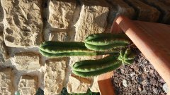 20180628_153029.jpg