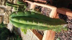 20180628_153037.jpg