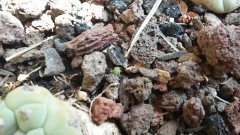 20180628_153058.jpg