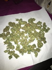 IMG_0763.JPG