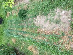 IMG_0892.JPG