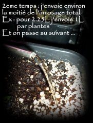 MAJ 17