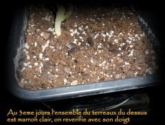 MAJ 17