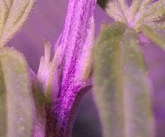 06.jpg