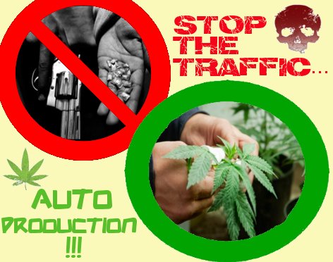 stop!.jpg