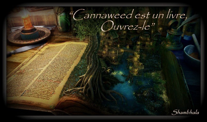 the_coolest_book_wallpaper_background_27381.jpg.da78d1edb454345b3f0a99ef17fb7012.jpg