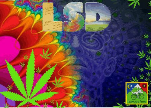 1062893162_lsdbarneyfarm.PNG