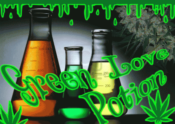 1110953567_greenlovepotion.GIF