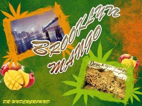 1115441479_brooklynmangodrunderground.JPG