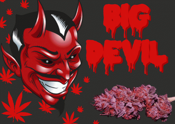 1129251866_bigdevil.GIF