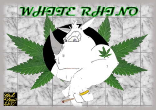 113819913_whiterhionghs.PNG