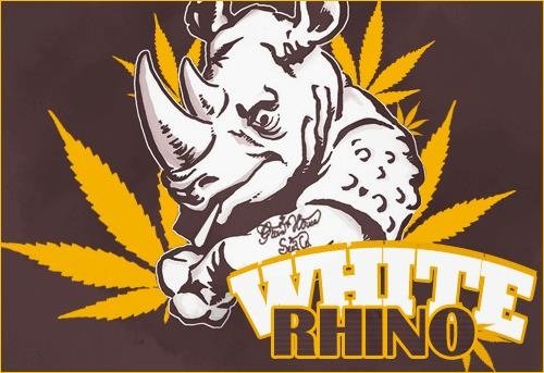 1146183316_whiterhinoghs2.JPG