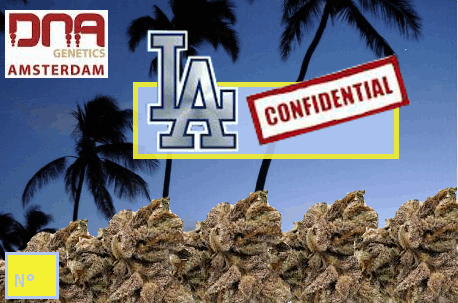 1156908929_LAconfidential-dnagenetics.PNG