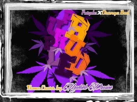 1164036607_purplexorangebud.JPG