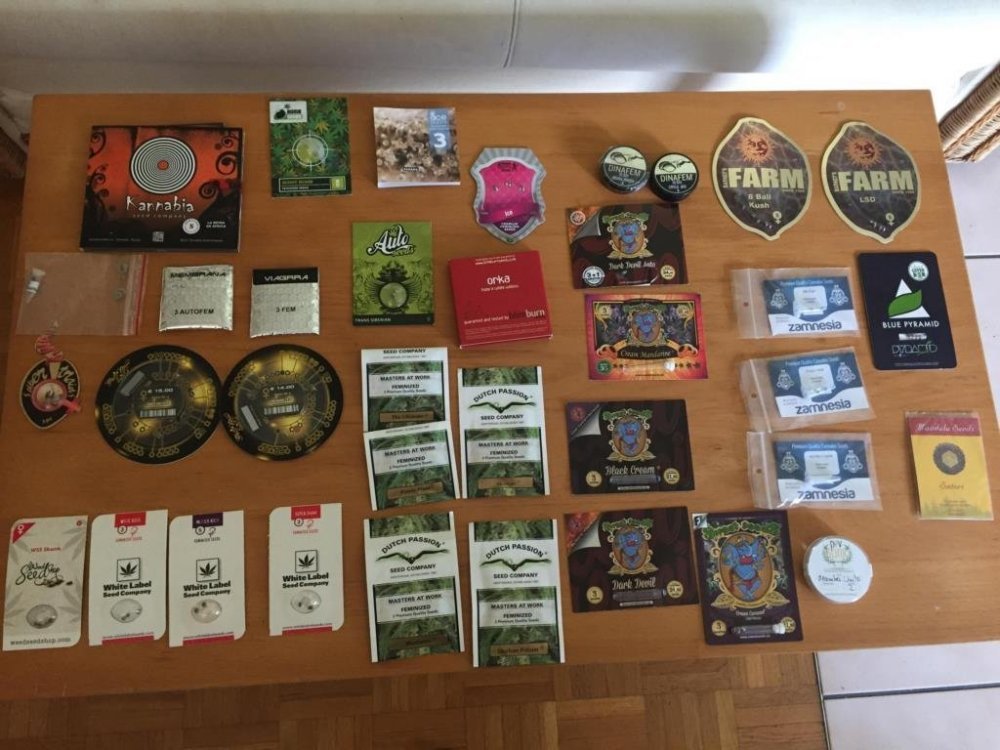 Seed Bank.jpg