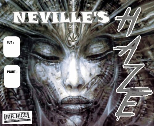 1246397977_nevillehaze-mrnice2.JPG