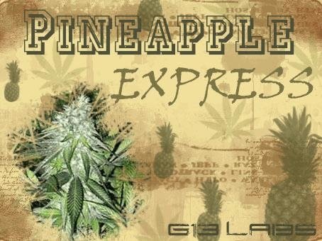 1255670198_pineappleexpressG13labs.JPG