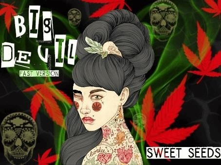 1315405689_bigdevilswettseeds.JPG