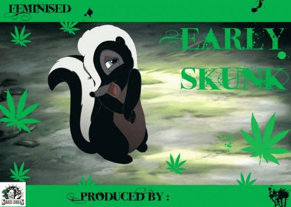 132992838_earlyskunksensiseeds3.JPG
