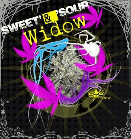 1358258887_sweetnsourwidowcbdcrew.JPG