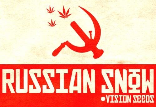 1360329718_russiansnowvisionseeds.JPG