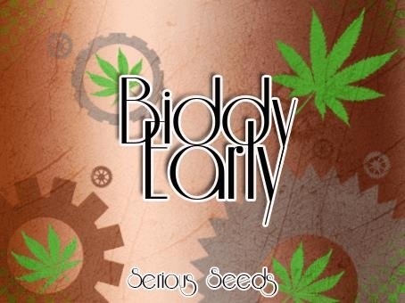 1365700612_biddyearlyserouisseeds.JPG