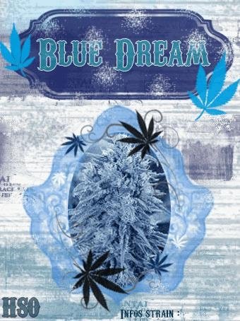 1428754660_bluedreamhso.JPG