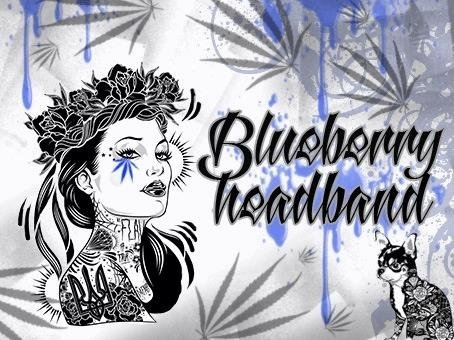 1443480503_blueberryheadband.JPG