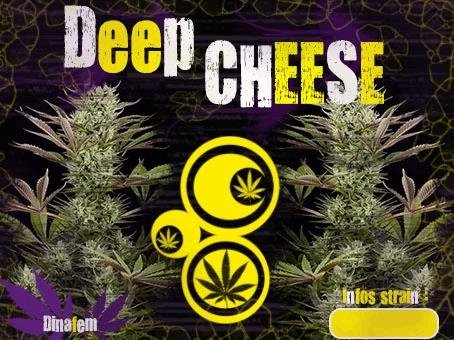 1447830856_deepcheesedinafem.JPG