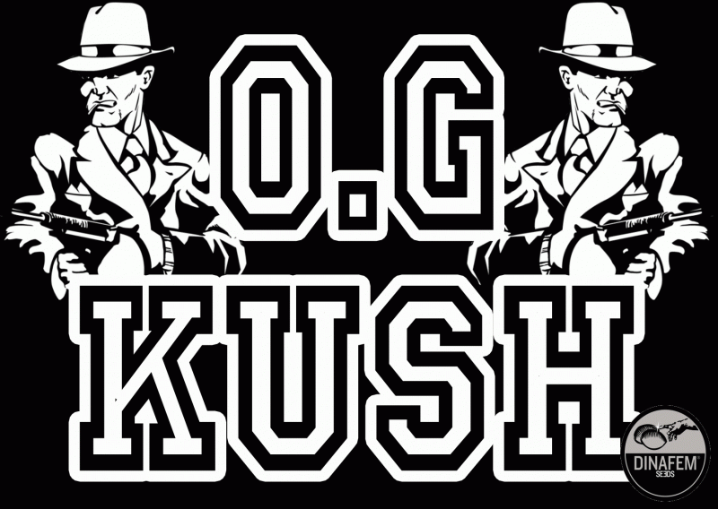 1459238985_ogkushdinafem.GIF
