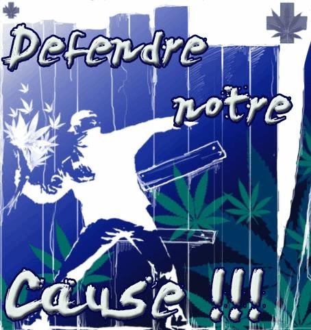 1529228467_diversdefendrenotrecause.JPG