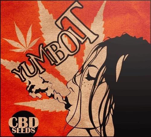 1558495755_yumboltcbdseeds.JPG