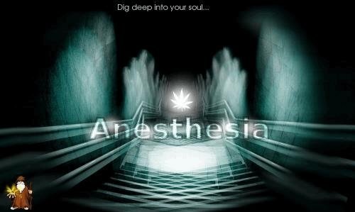 1572354268_anesthesia-sanniechoice.JPG