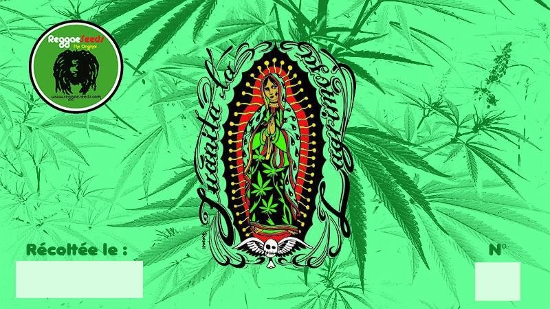 1609214570_juanita-reggaeseeds.JPG