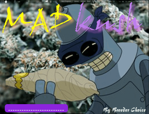 1654420032_madkush-breederchoice.PNG