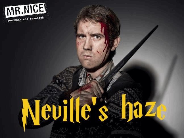 168978709_nevillehaze-mrnice.JPG
