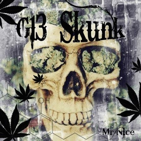 1718059683_G13skunkmrnice.JPG