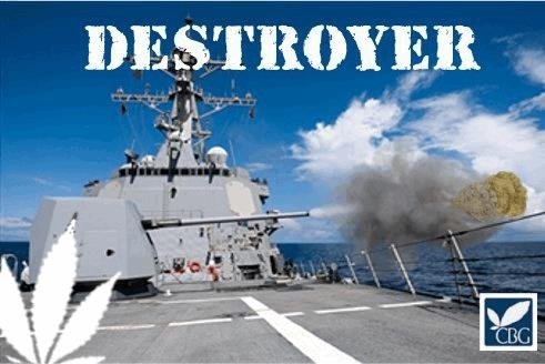 1722038695_destroyercannabiogen.JPG