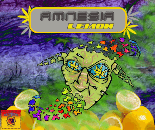1735127662_amnesialemon-barneyfarm.PNG
