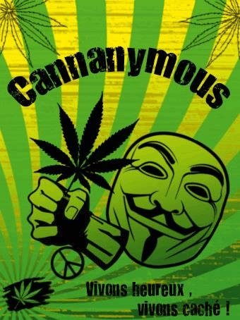 1743235727_divers-cannanonymous.JPG