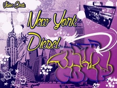 182804347_newyorkcitydieselvisionseeds.JPG
