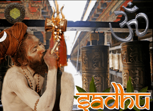 1877771757_sadhu-madalseeds.PNG