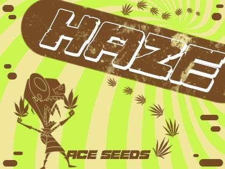 1907228100_hazeaceseeds.JPG