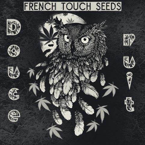 1912484533_doucenuitfrenchtouchseeds.JPG