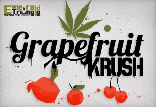 1945955929_grapefruitkrush-emeraldseeds.JPG