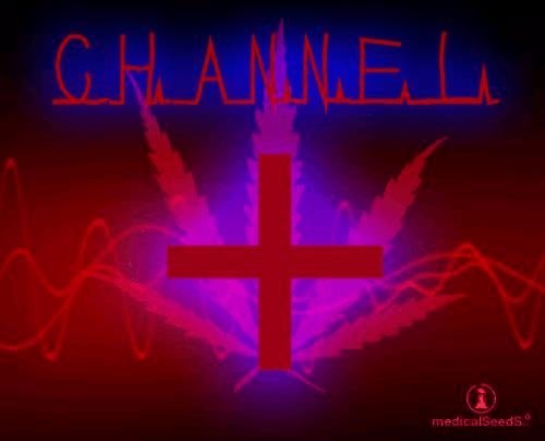 1997355097_channelmedicalseeds.JPG