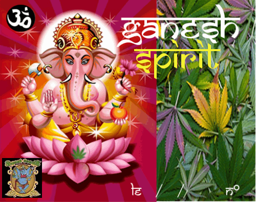 2007973630_ganeshspiritsweetseeds.PNG