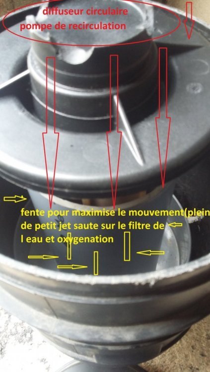 20180531_142525.jpg