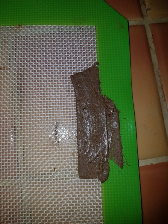20180630_204028.thumb.jpg.b3e683163301da0a877441872312c8f2.jpg